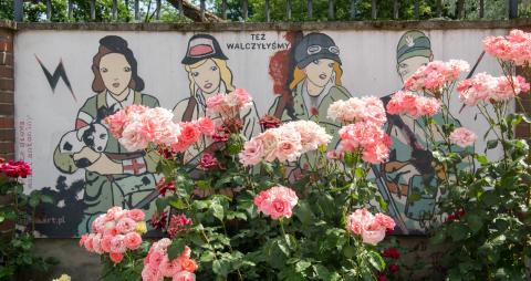 The Wall Art in Rose Garden