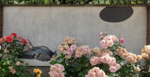 The Wall Art in Rose Garden